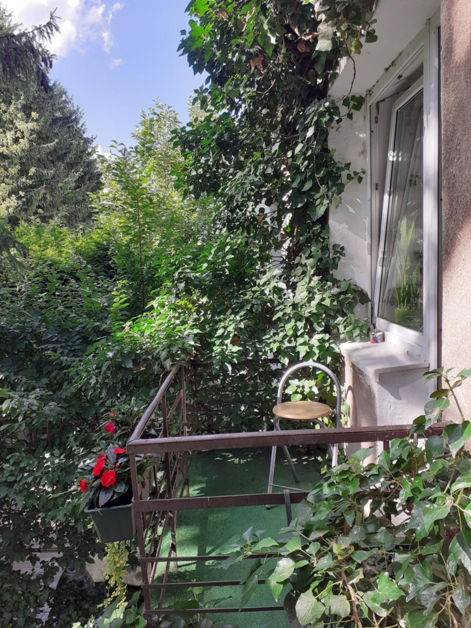 Animrumru Varşovia Exterior foto